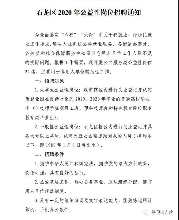 石龙区文化局最新招聘信息与职位详解概览