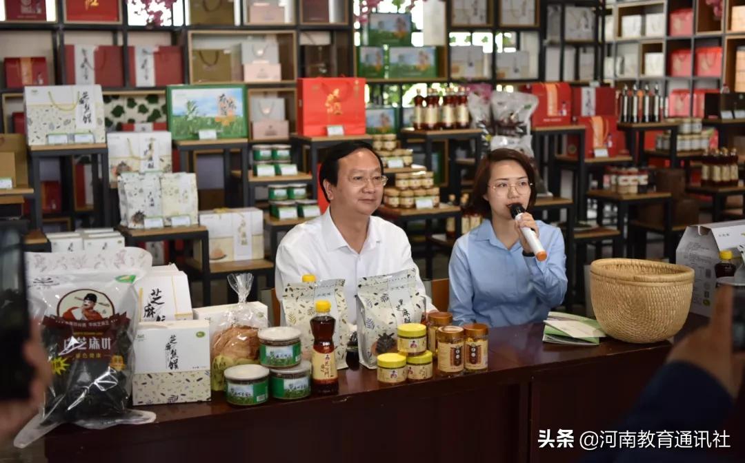 平舆县数据和政务服务局最新项目概览，一站式了解最新进展与动态