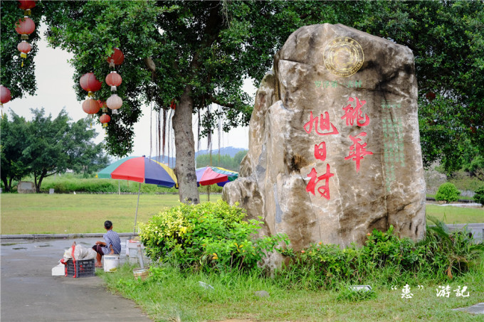 旭日村最新新闻动态