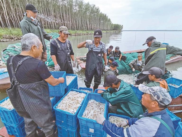 杜尔伯特蒙古族自治县住房和城乡建设局最新动态报道