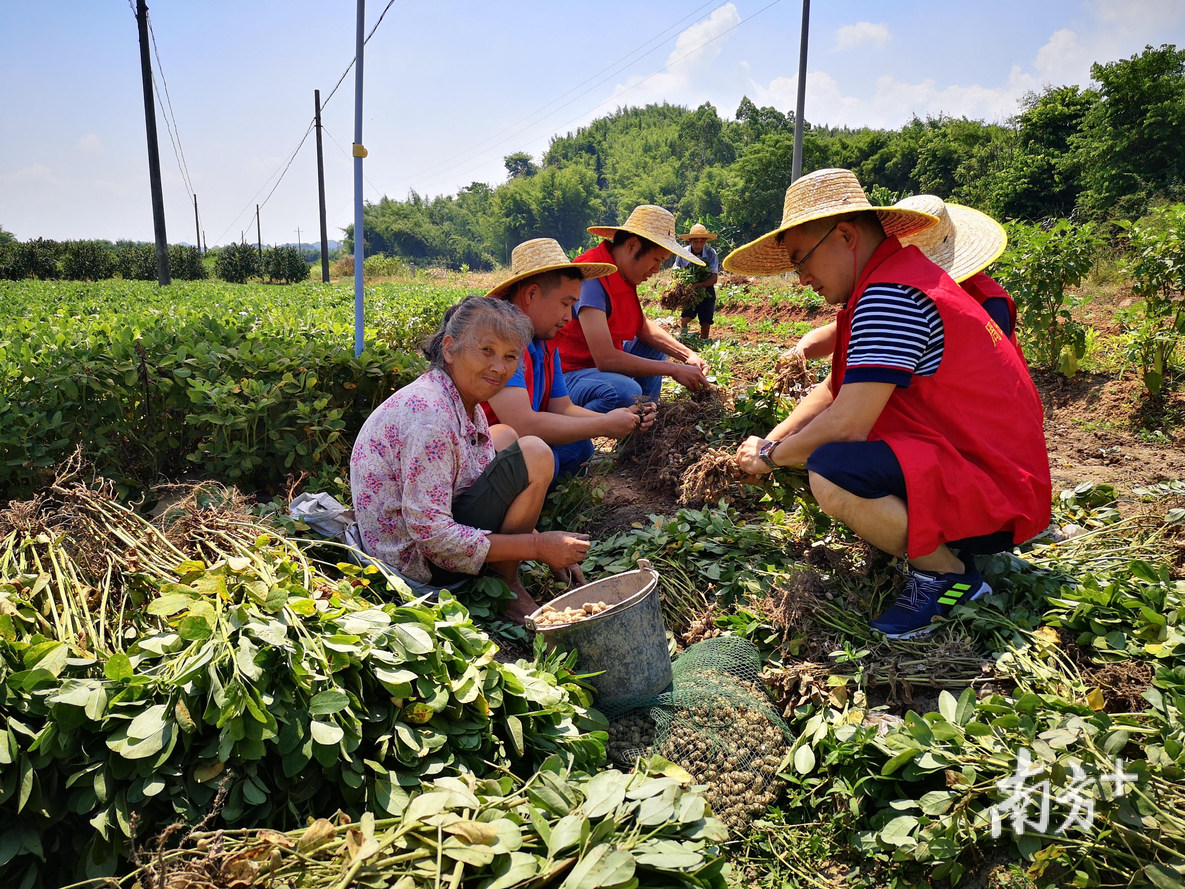 仁化县住房和城乡建设局最新动态报告发布