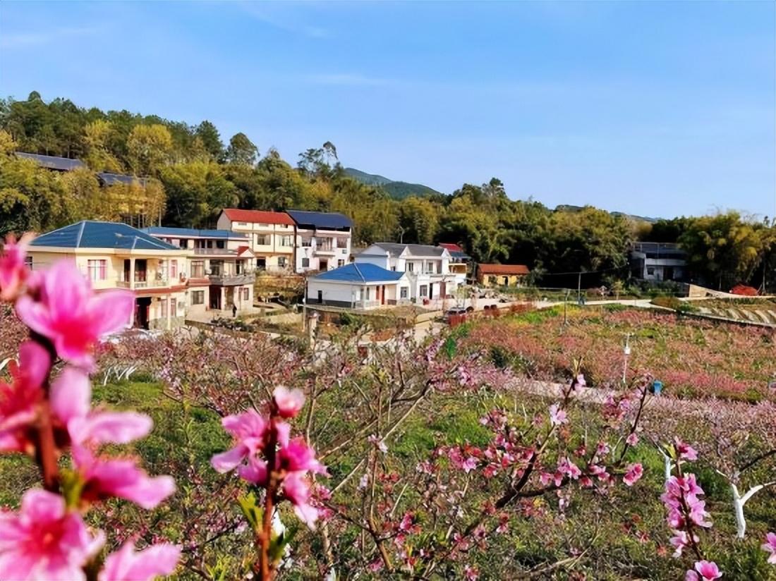 围龙镇新项目，引领地方发展的强大动力源泉