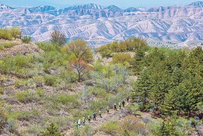 克山县北联林场天气预报更新通知