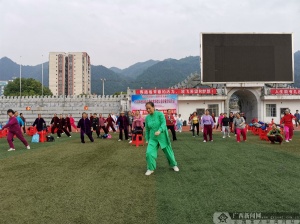 麦积区文化广电体育和旅游局新项目助力地方文化繁荣与旅游产业兴旺发展