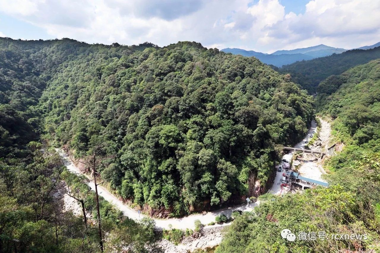 九龙岭林场绿色发展新篇章，探索与实践