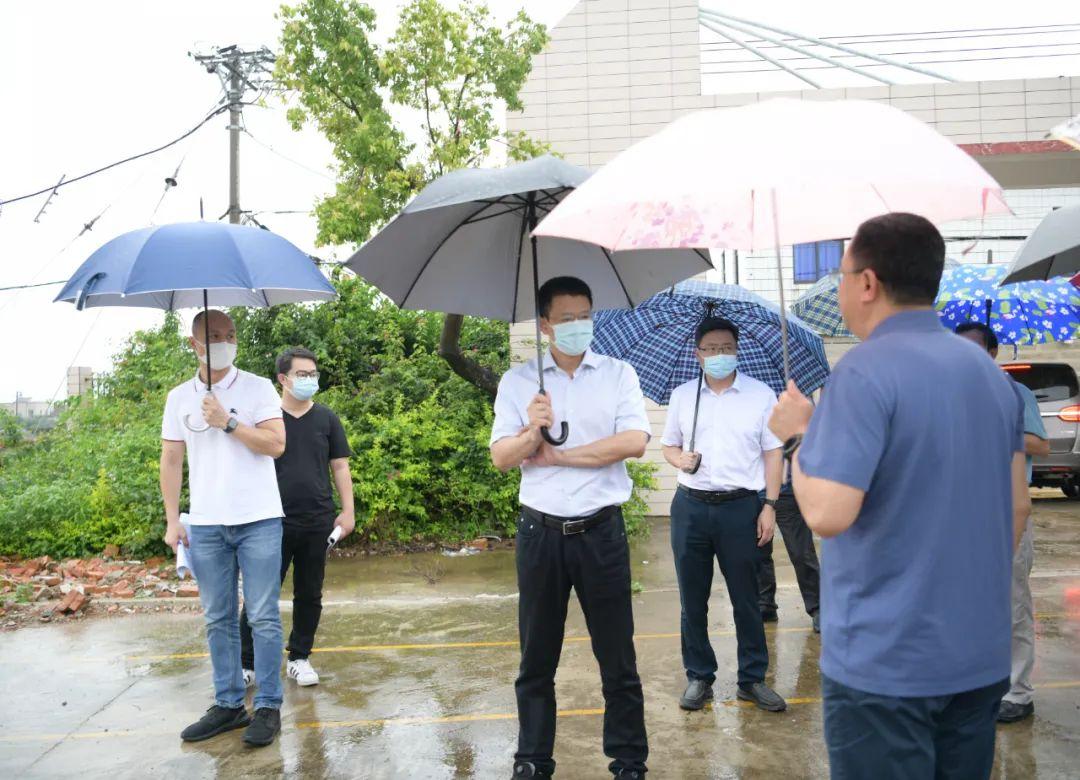 螺城镇未来发展规划，塑造全新城市面貌