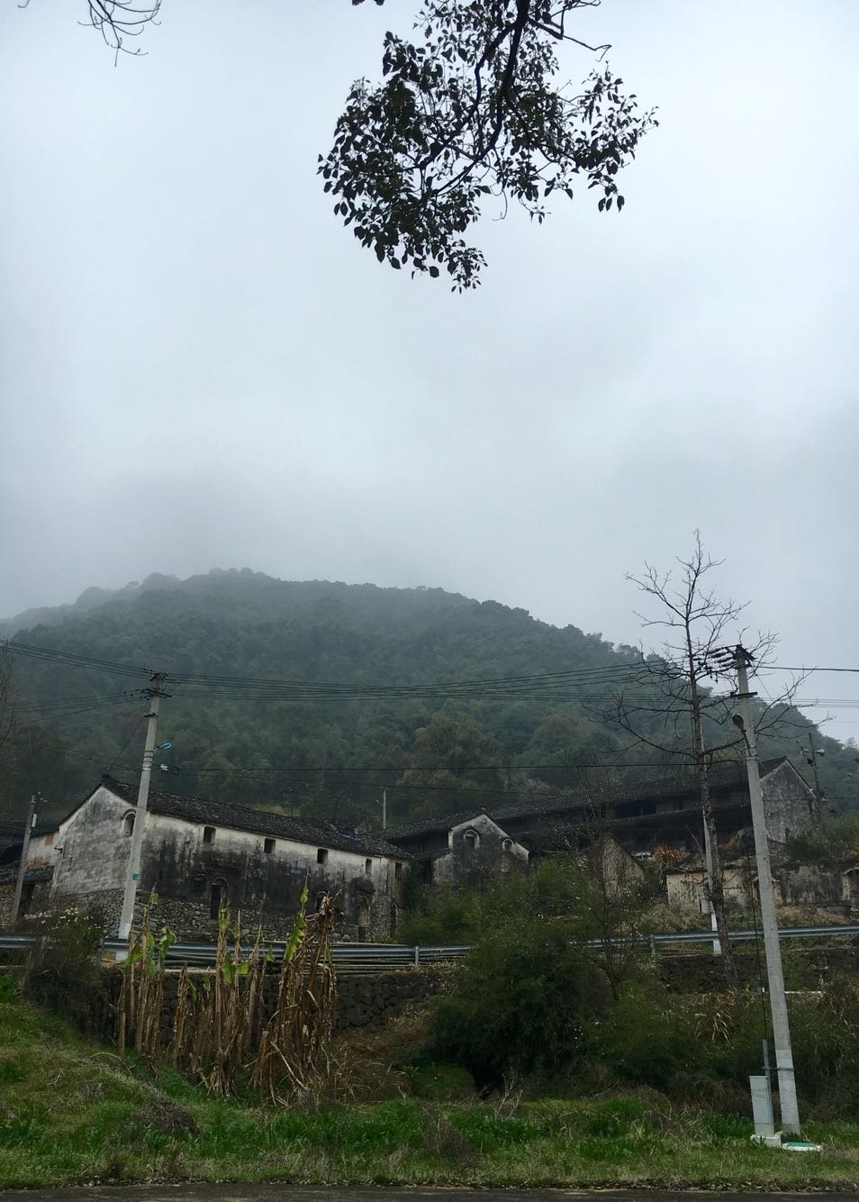 鞍子山村委会天气预报更新