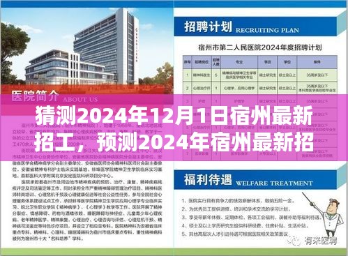 宿州市科学技术局最新招聘概览通知