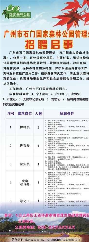 石井村委会最新招聘信息全面解析