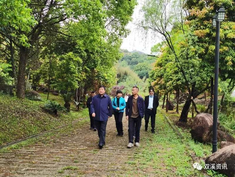 顺昌县文化局发展规划概览